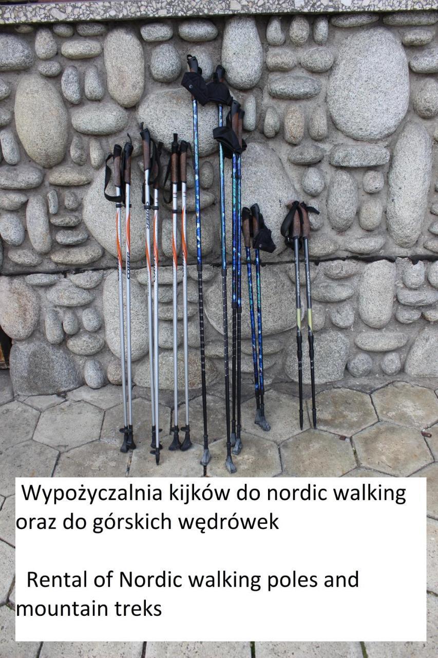 Willa Pod Zielonym Wierchem ซาโกปาเน ภายนอก รูปภาพ